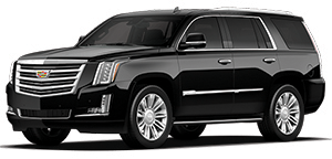 Roll  LUX-SUV Driver-Escalade